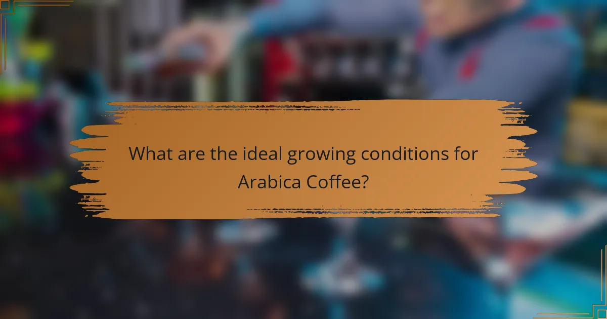 What are the ideal growing conditions for Arabica Coffee?