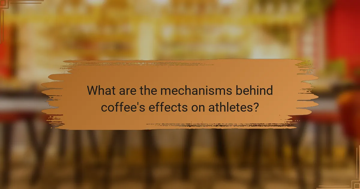 What are the mechanisms behind coffee's effects on athletes?
